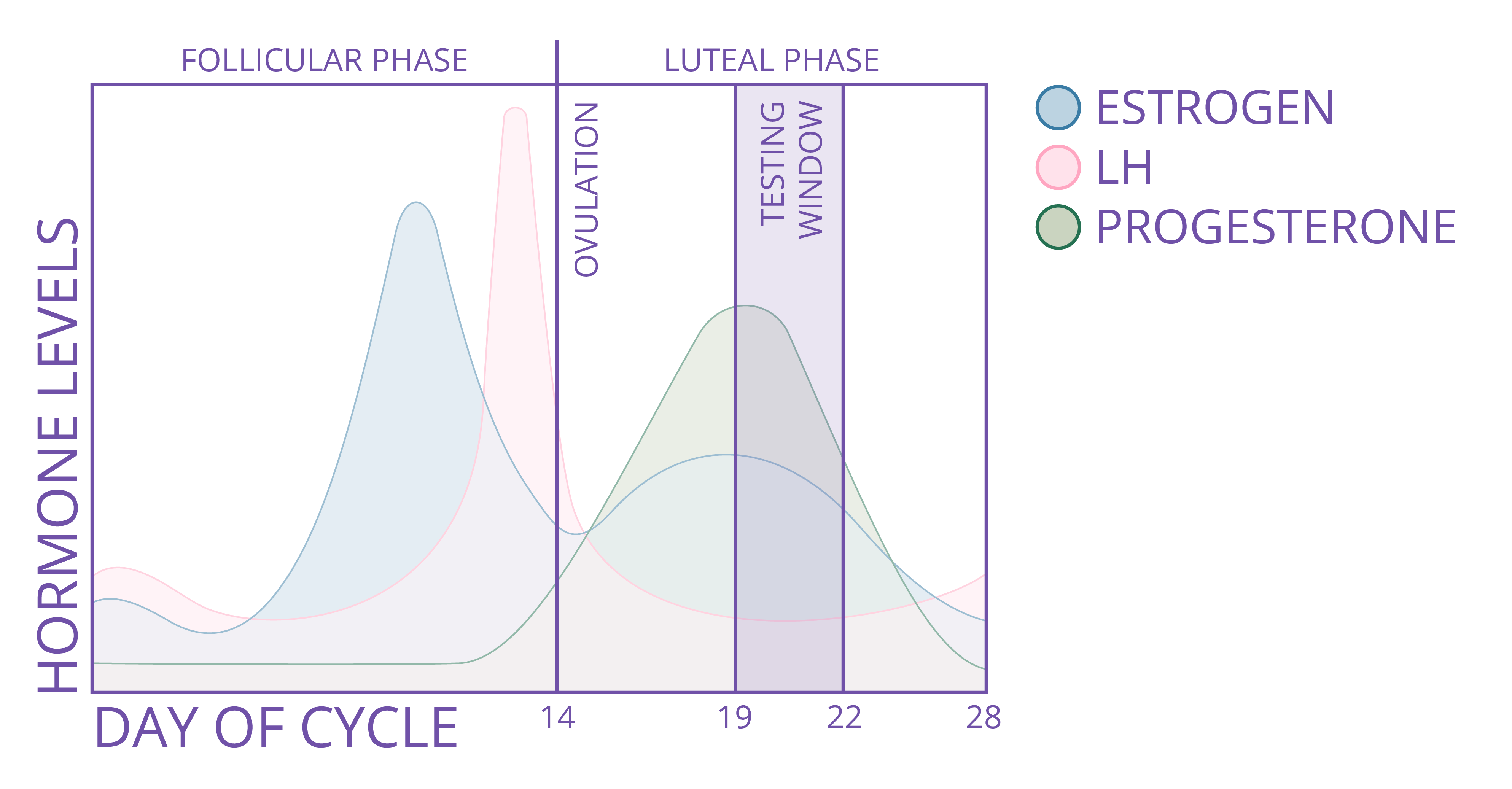 Length of luteal phase (time from ovulation day (LH surge þ1 day