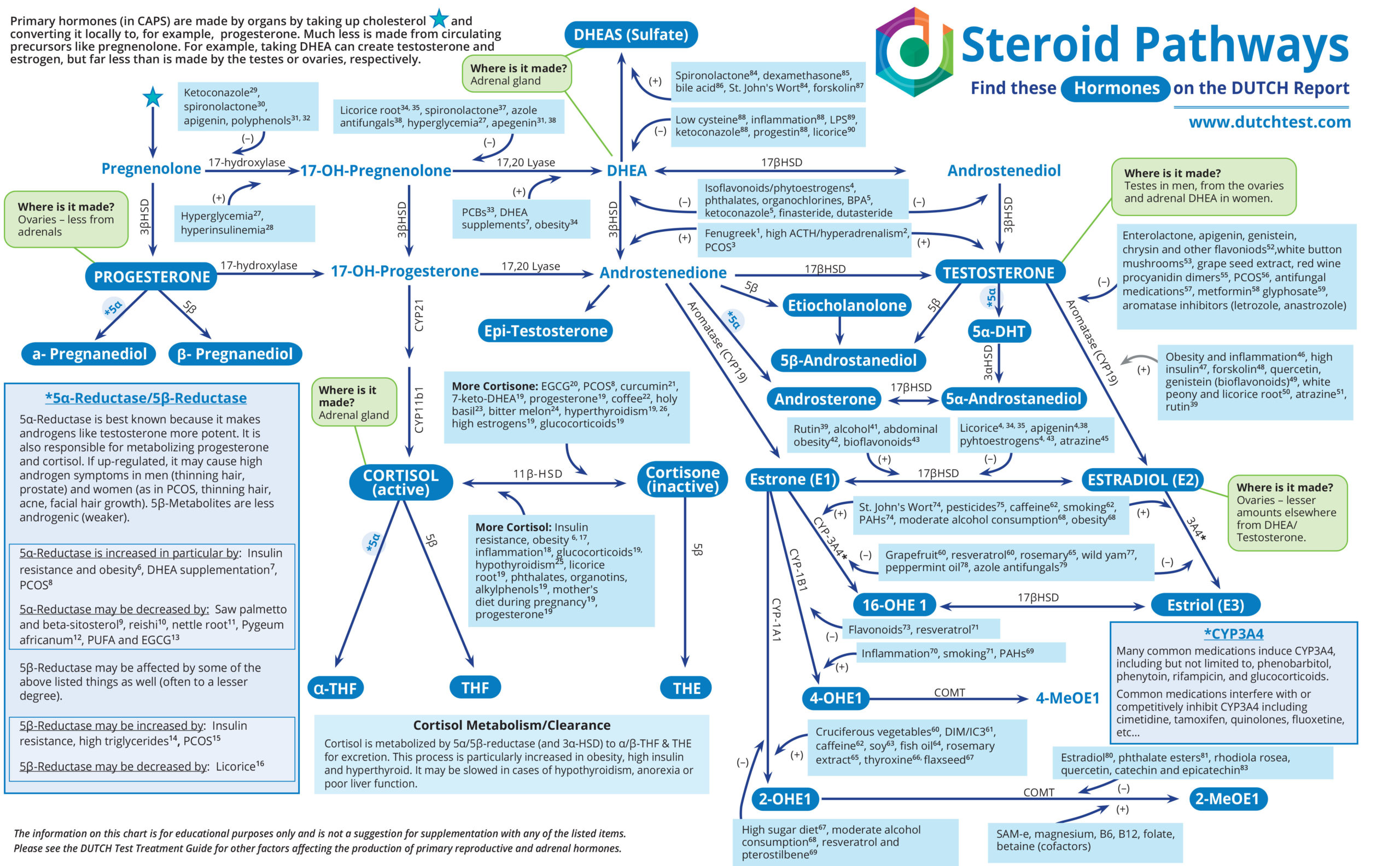 Steroid Pathways Chart DUTCH Test