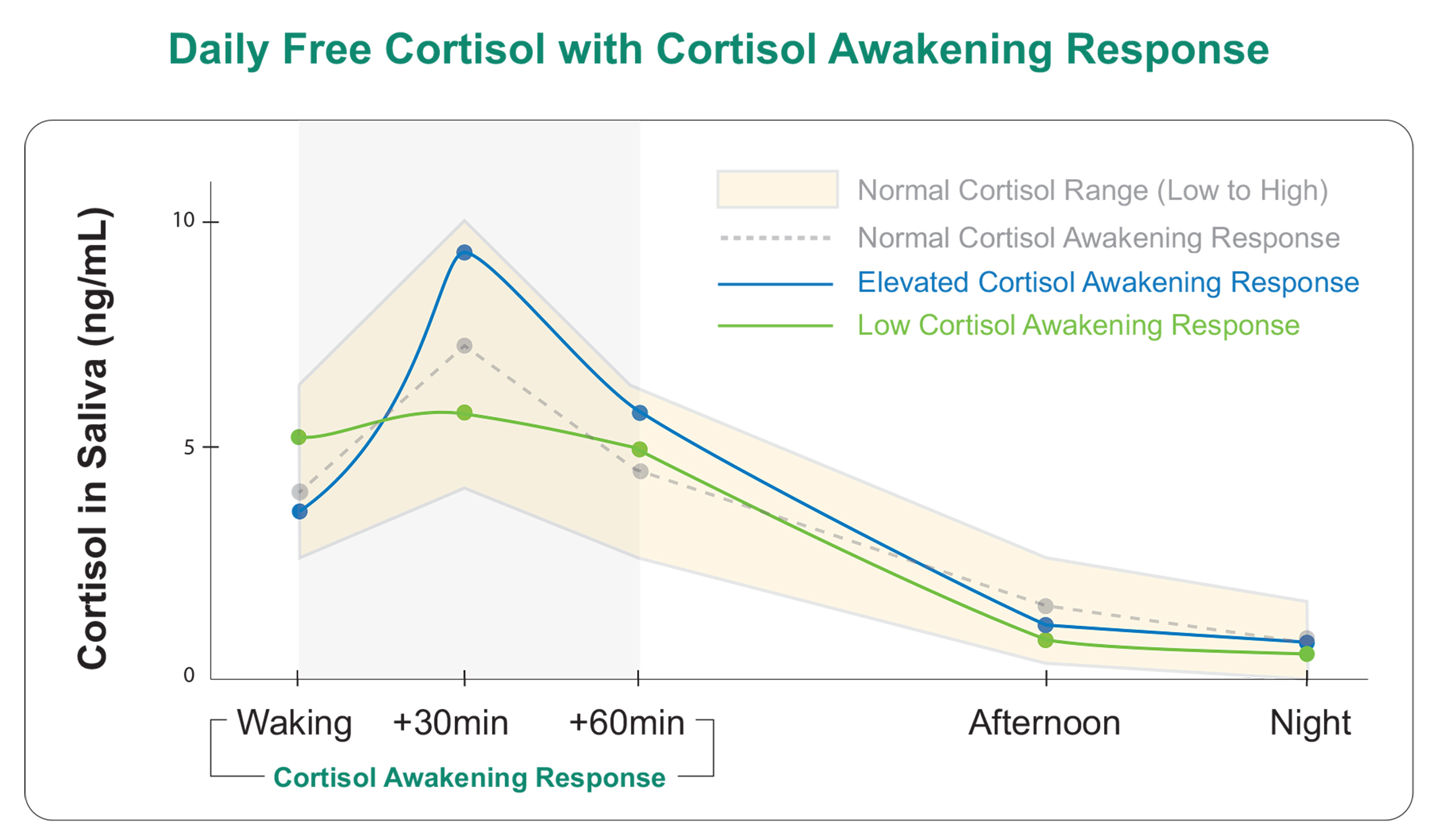 Daily Free Cortisol graph
