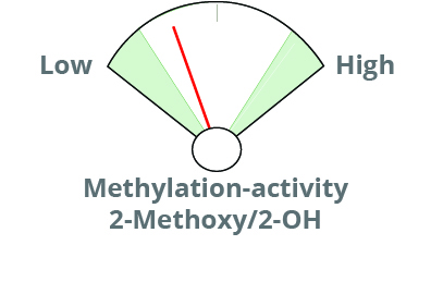 Estrogen methylation fan gauge on the dutch test