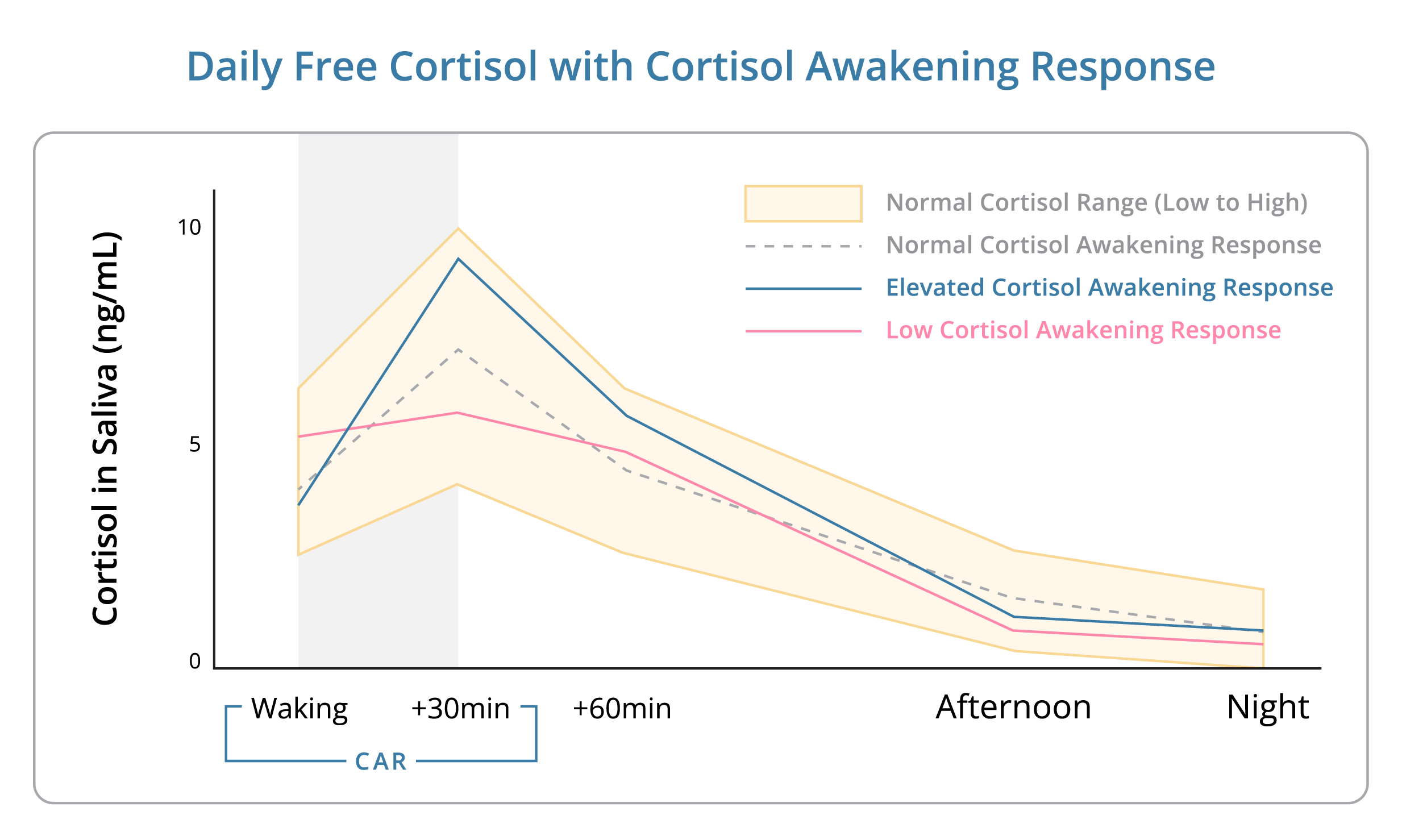 graphical view of the cortisol awakening response measured in saliva